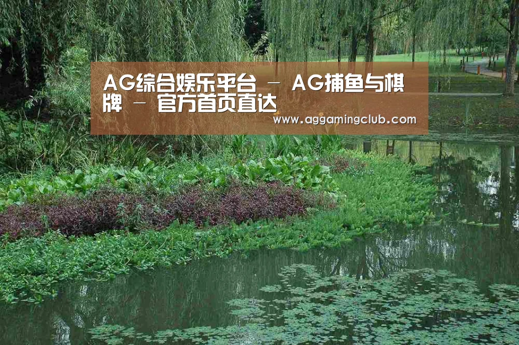 案例展示一(图1)