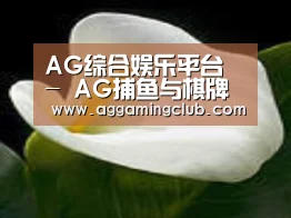 产品名称七
