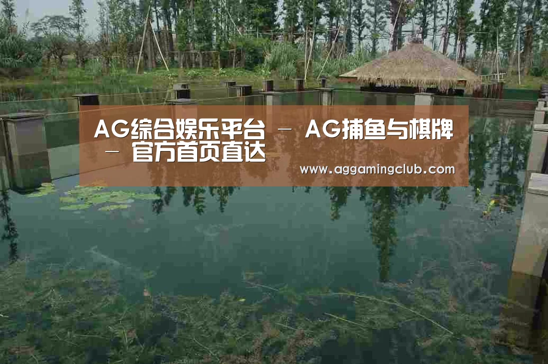 案例展示二