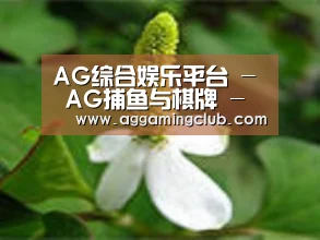 产品名称三