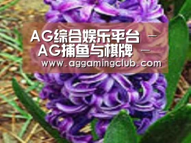 产品名称八