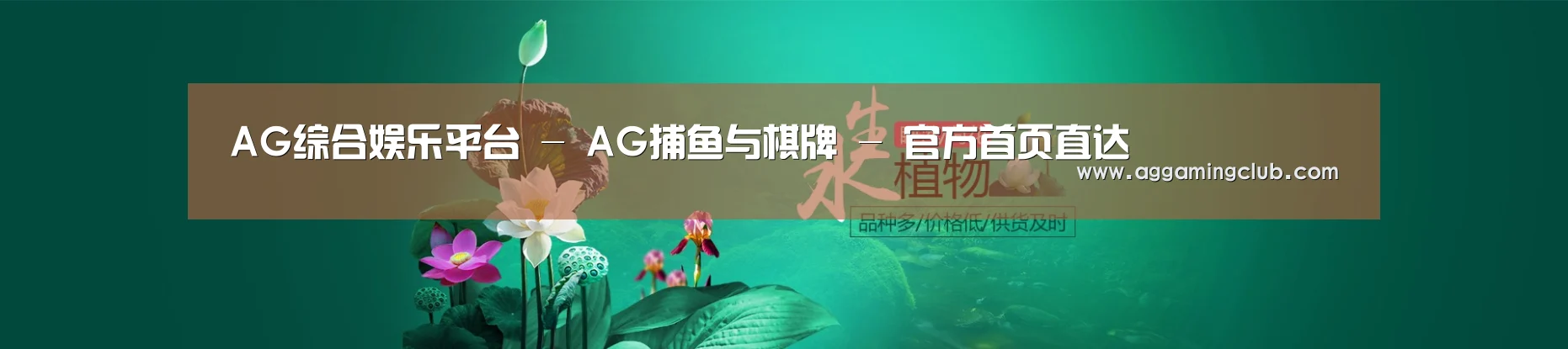 鲜花水草花卉网站模板